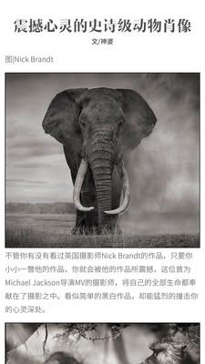 泛艺术手机版