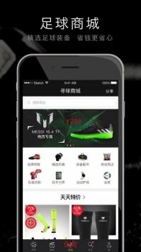 寻球比分
