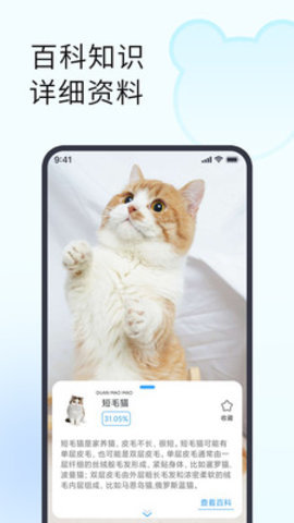 拍照识别植物  v1.0.0图1
