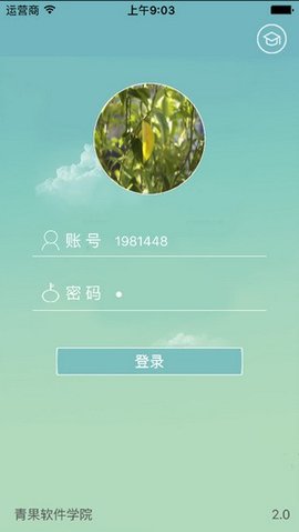 喜鹊儿