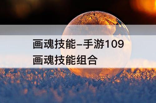 画魂技能-手游109画魂技能组合