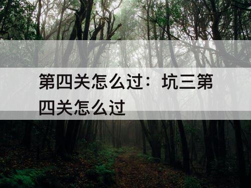 第四关怎么过：坑三第四关怎么过