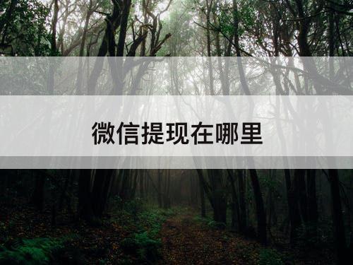 微信提现在哪里