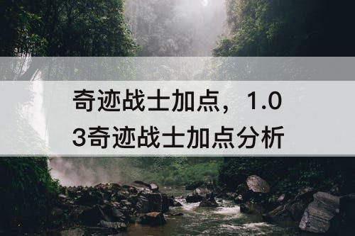 奇迹战士加点，1.03奇迹战士加点分析