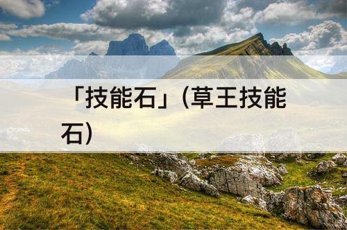 「技能石」(草王技能石)