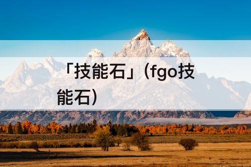 「技能石」(fgo技能石)