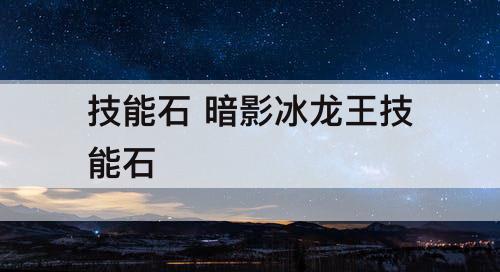 技能石 暗影冰龙王技能石