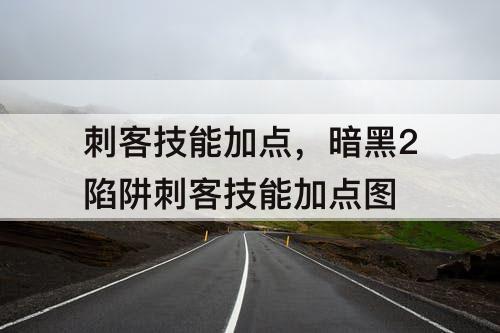刺客技能加点，暗黑2陷阱刺客技能加点图