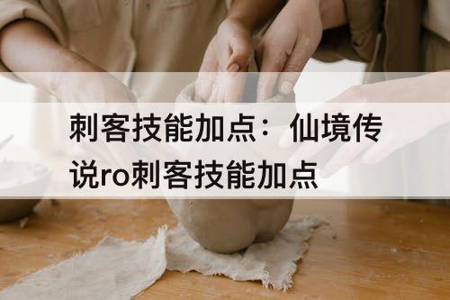 刺客技能加点：仙境传说ro刺客技能加点