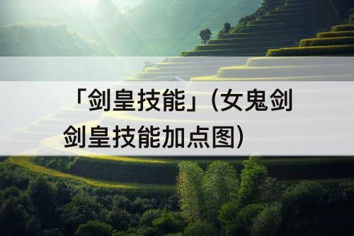 「剑皇技能」(女鬼剑剑皇技能加点图)