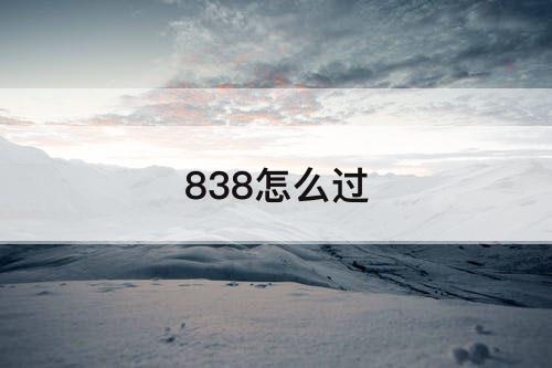 838怎么过