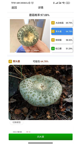 菌窝子