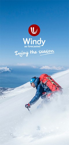 windy