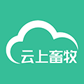 地下城与勇士M韩服