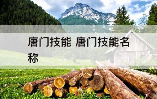 唐门技能 唐门技能名称