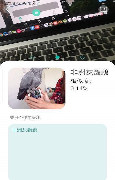 天天识别  v1.0图1