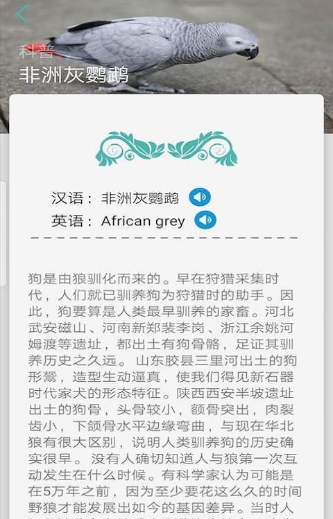 天天识别免费版  v1.0图3