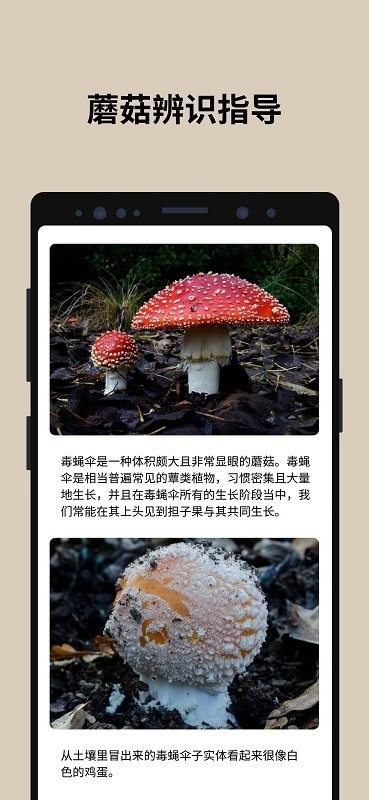 蘑菇识别app  v2.8.13图3