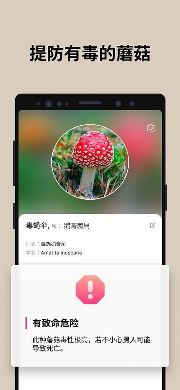 蘑菇识别app