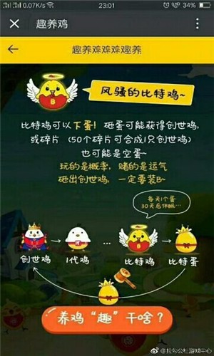 趣养鸡2023