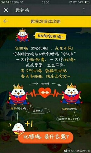 趣养鸡2023  v1.0.1图4