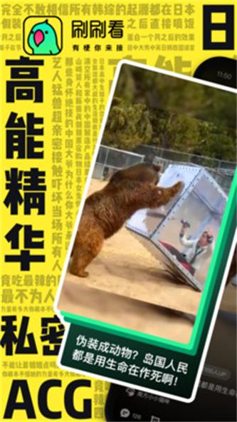 刷刷看官网