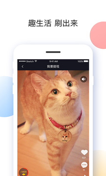 海豚自动刷宝app  v1.850图2