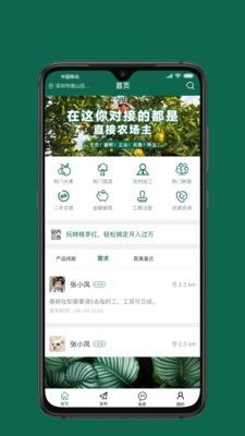 桃李红app