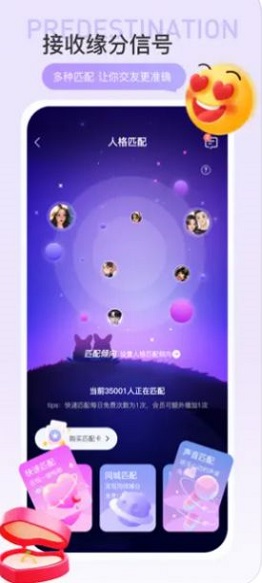 驭见Yolo免费版