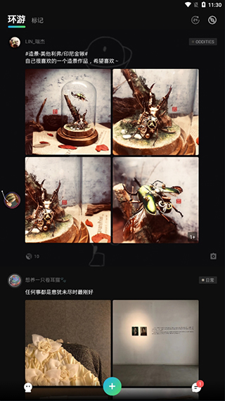 被遗忘的小岛手机版下载  v0.2.6.192图1
