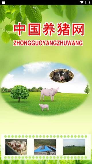 中国养猪网app