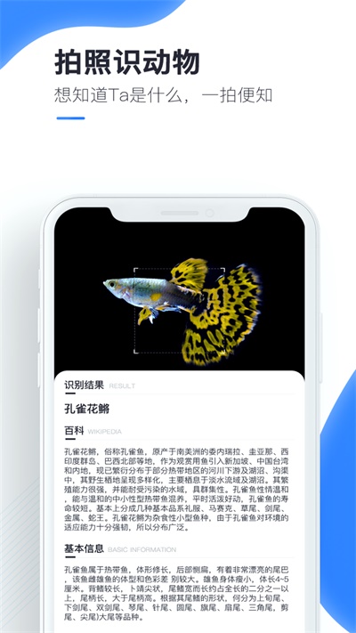 百科扫描王免费破解版下载安卓手机软件安装  v1.0.0图1