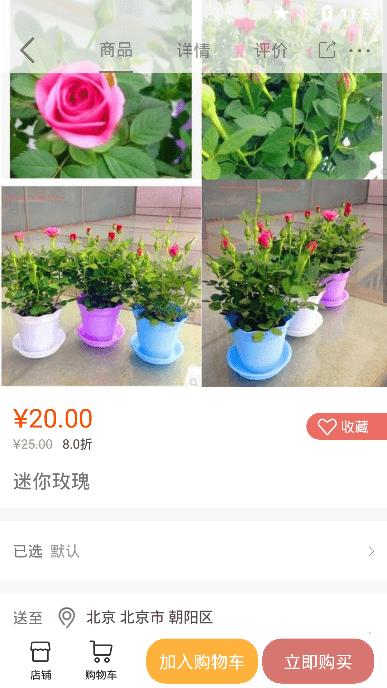 七彩云菊  v1.0.0图1