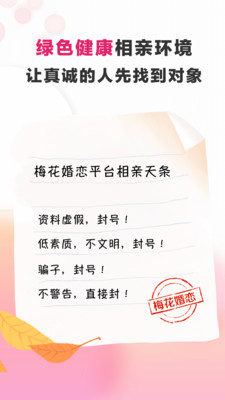 梅花再婚相亲手机版免费阅读小说全文