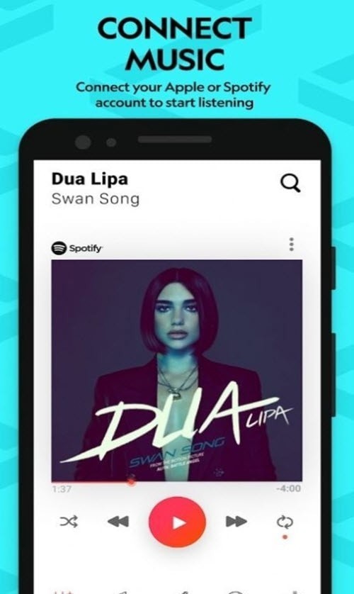vertigo歌曲dolf  v3.0.33图3