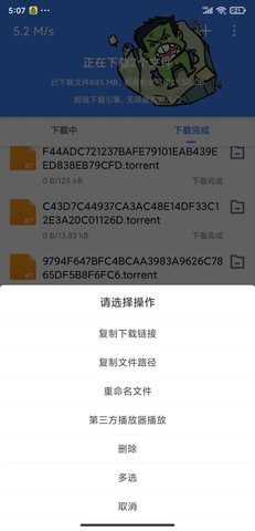浩克磁力2024