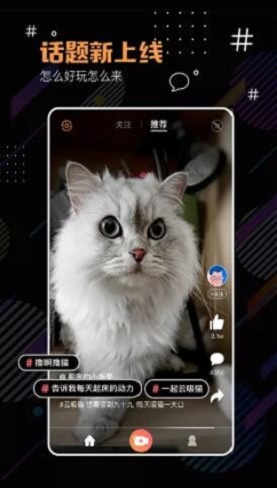 河豚小视频搞笑版在线观看下载安装最新