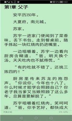 256中文网不配  v1.0图1