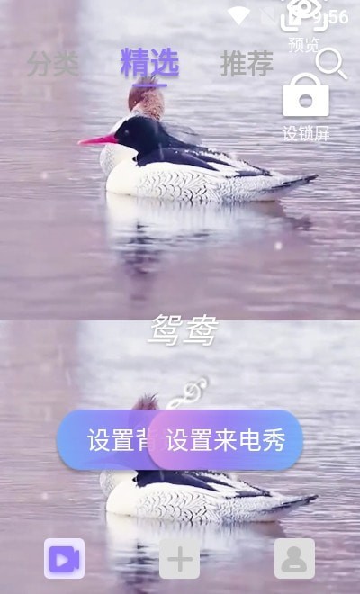 视频铃声来电秀免费版