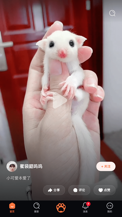 铲屎啦最新版本下载安装  v1.0.0图3