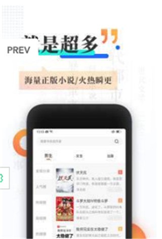 旗芬小说最新版