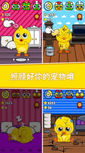 我的宠物6