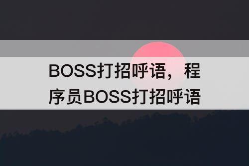 BOSS打招呼语，程序员BOSS打招呼语