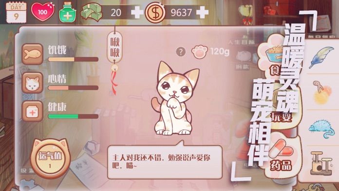 遇见梦想人生手机版