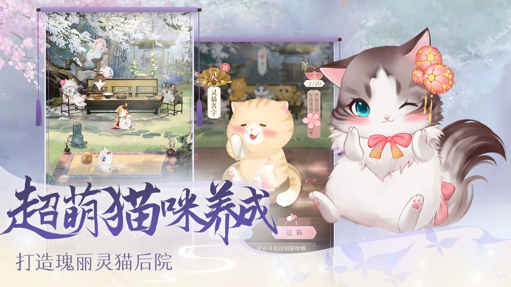 灵猫传手游官服  v1.1.96图2
