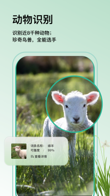万物识图app下载安装苹果手机  v1.0.0图2