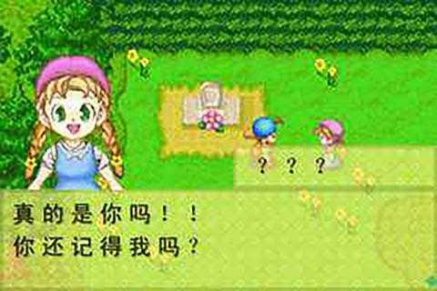 牧场物语三个村庄的珍贵朋友花嫁