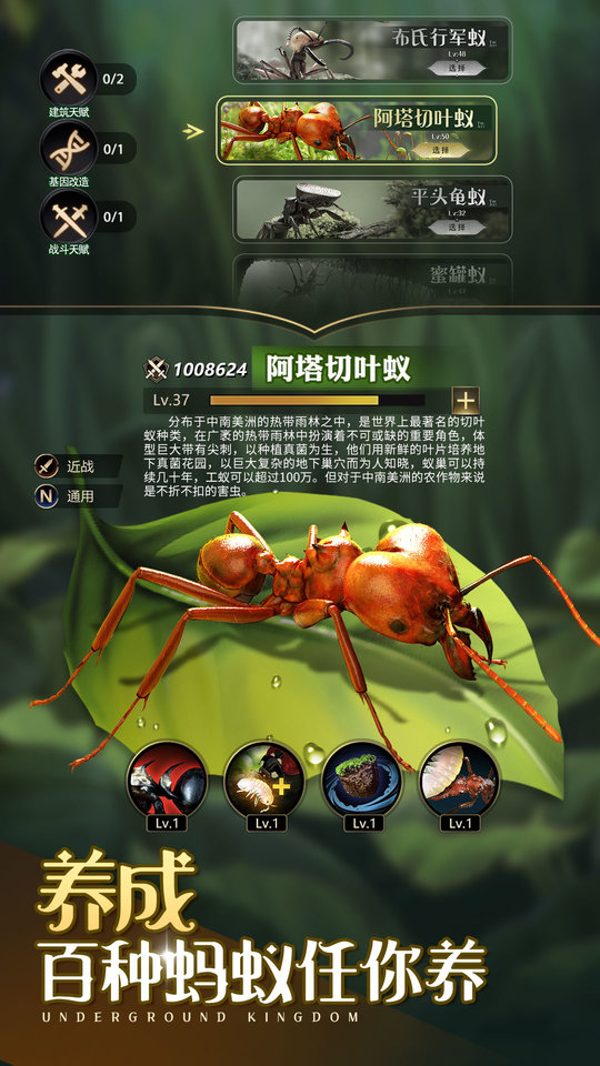 小小蚁国37游戏