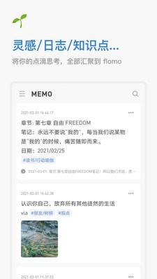 flomo官网  v1.4.3图3