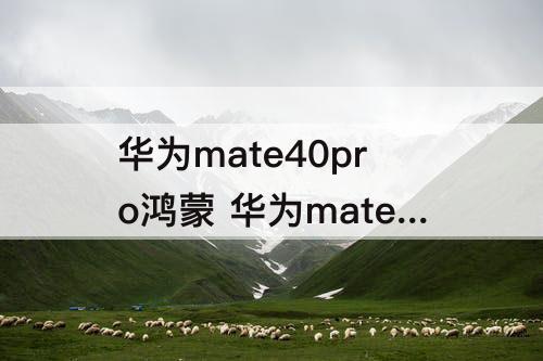 华为mate40pro鸿蒙 华为mate40pro鸿蒙2.0